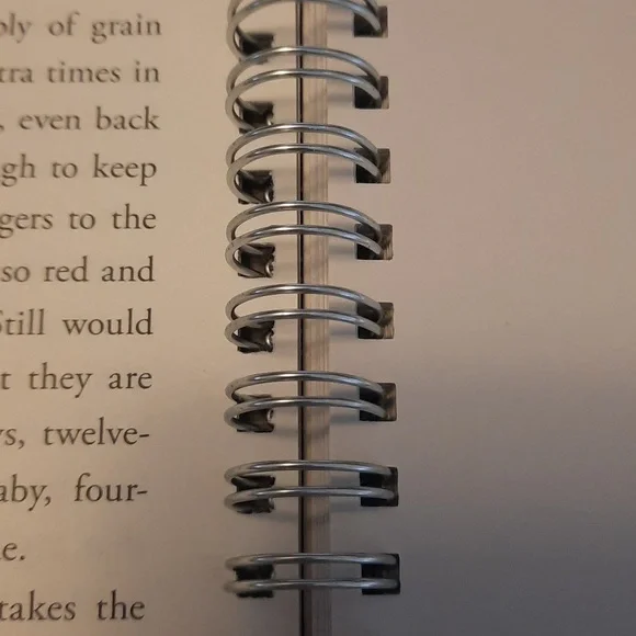 Secret Journal "Catching Fire" - Picture 3 of 6